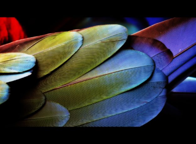 photostockeditor-13558-unsplash