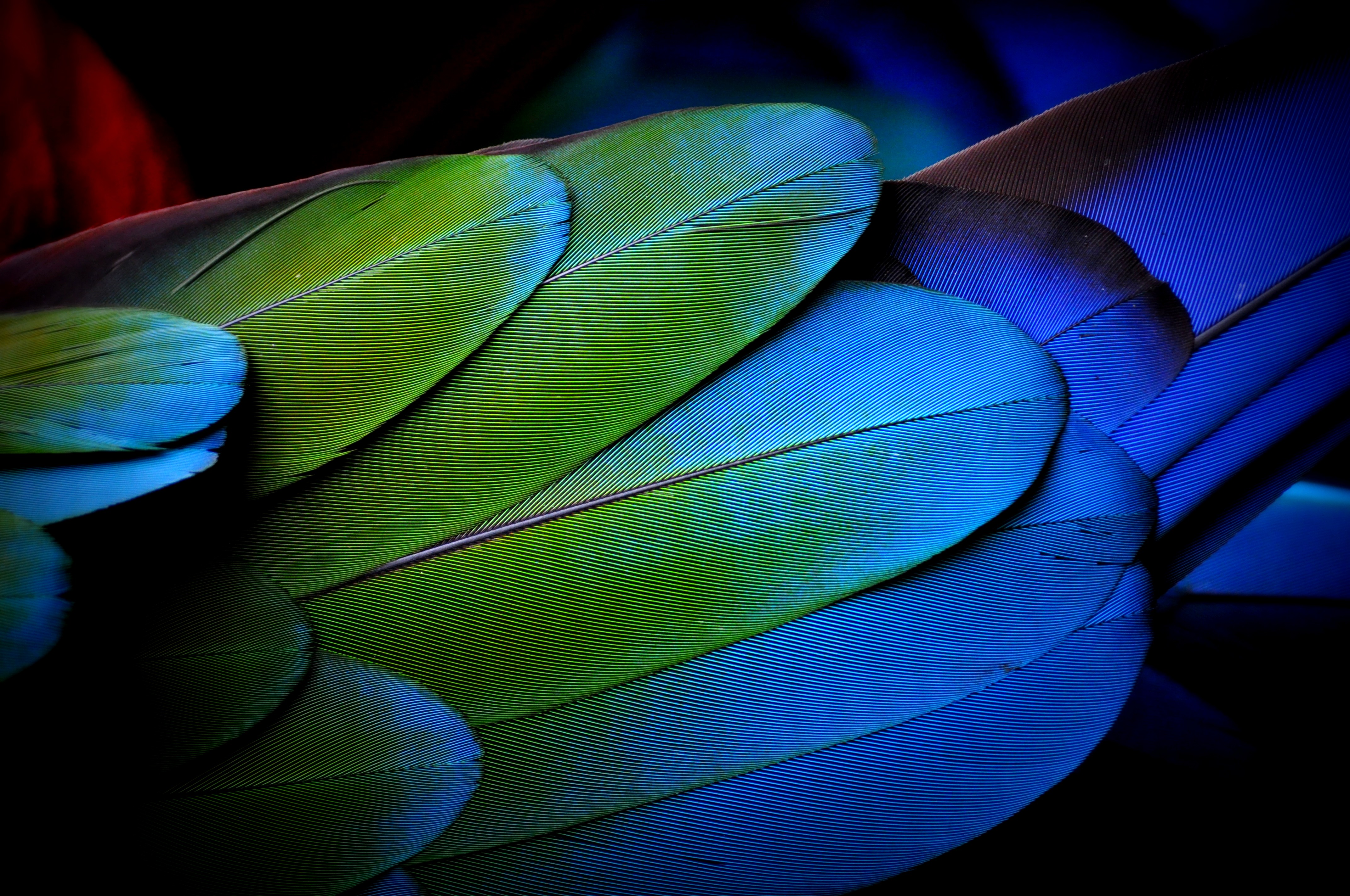 photostockeditor-13558-unsplash-001
