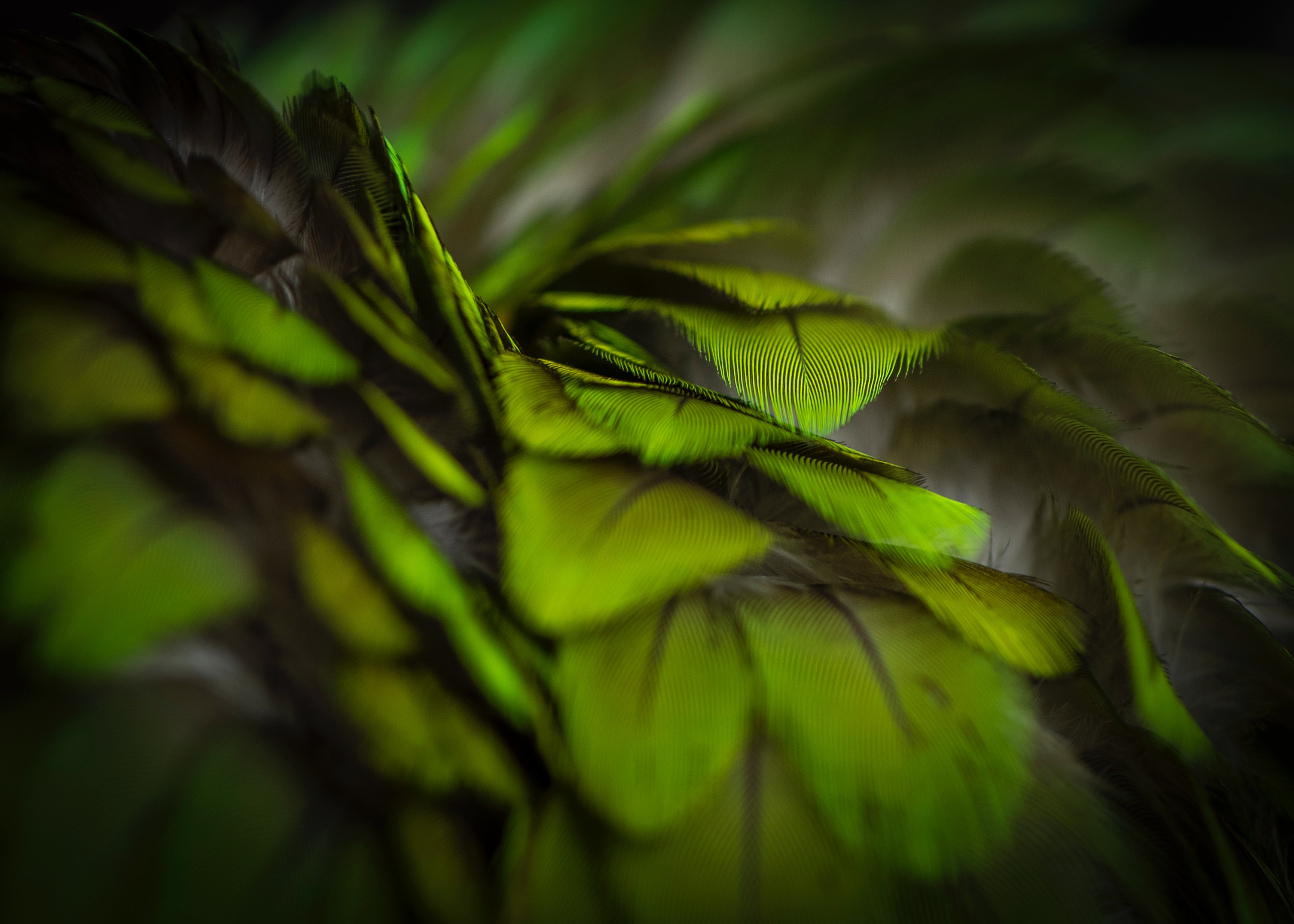 dejan-zakic-1265785-unsplash