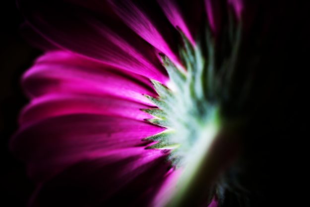 kyle-van-alstyne-1589969-unsplash